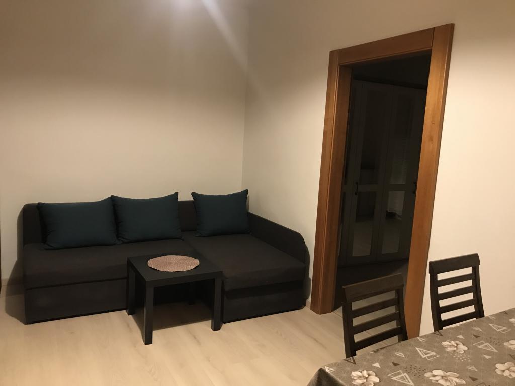 Pronájem bytu 1+1 45 m2