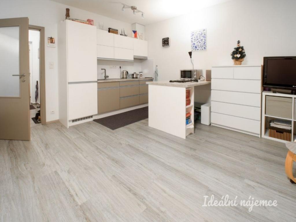 Pronájem bytu 1+kk 35 m2