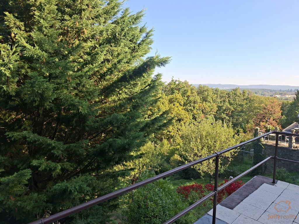 Prodej domu 49 m2, Brno – náhled fotky 2