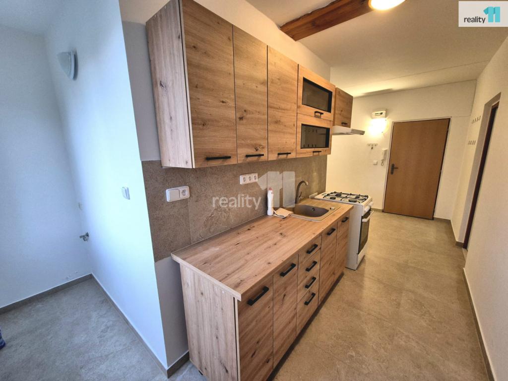 Pronájem bytu 2+1 55 m2