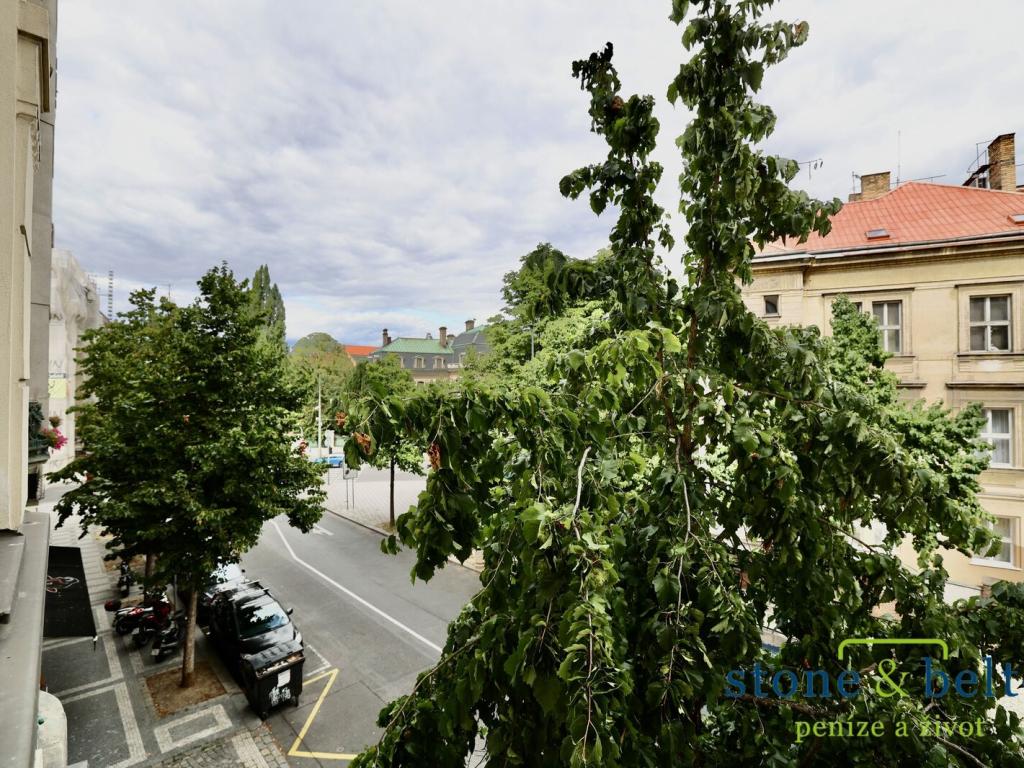 Pronájem bytu 3+1 116 m2, Praha – náhled fotky 13