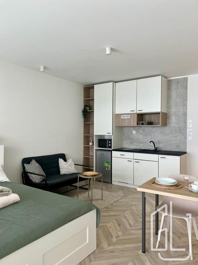 Pronájem bytu 1+kk 35 m2
