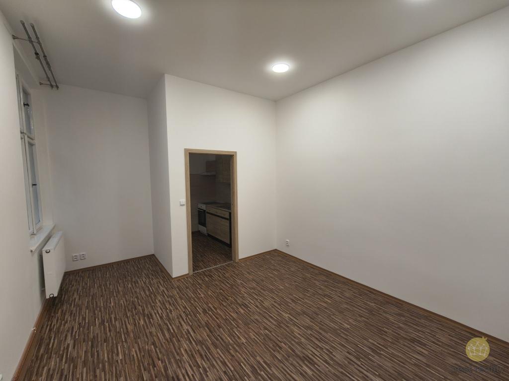Pronájem bytu 1+1 45 m2