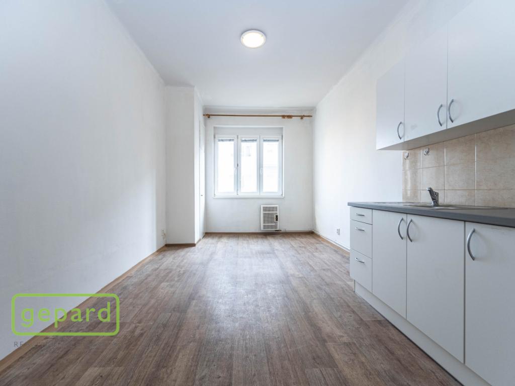 Pronájem bytu 1+1 53 m2