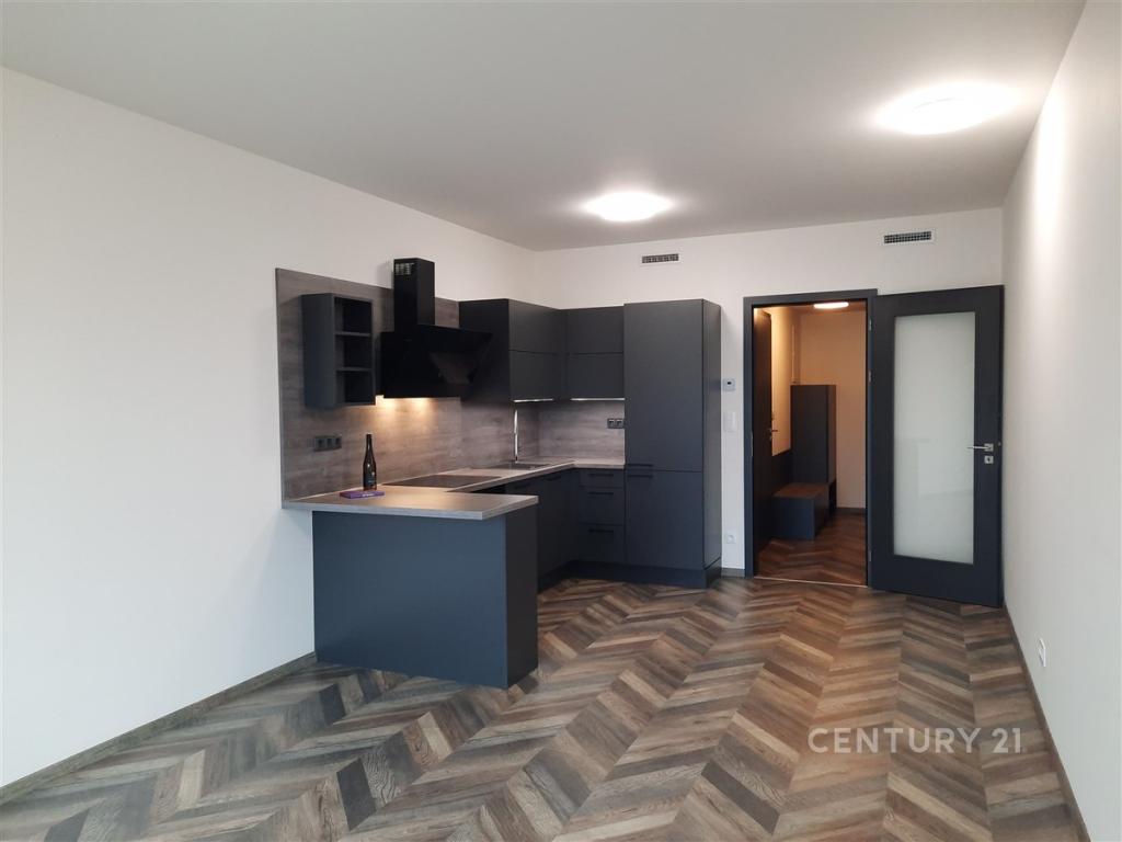 Pronájem bytu 1+kk 35 m2