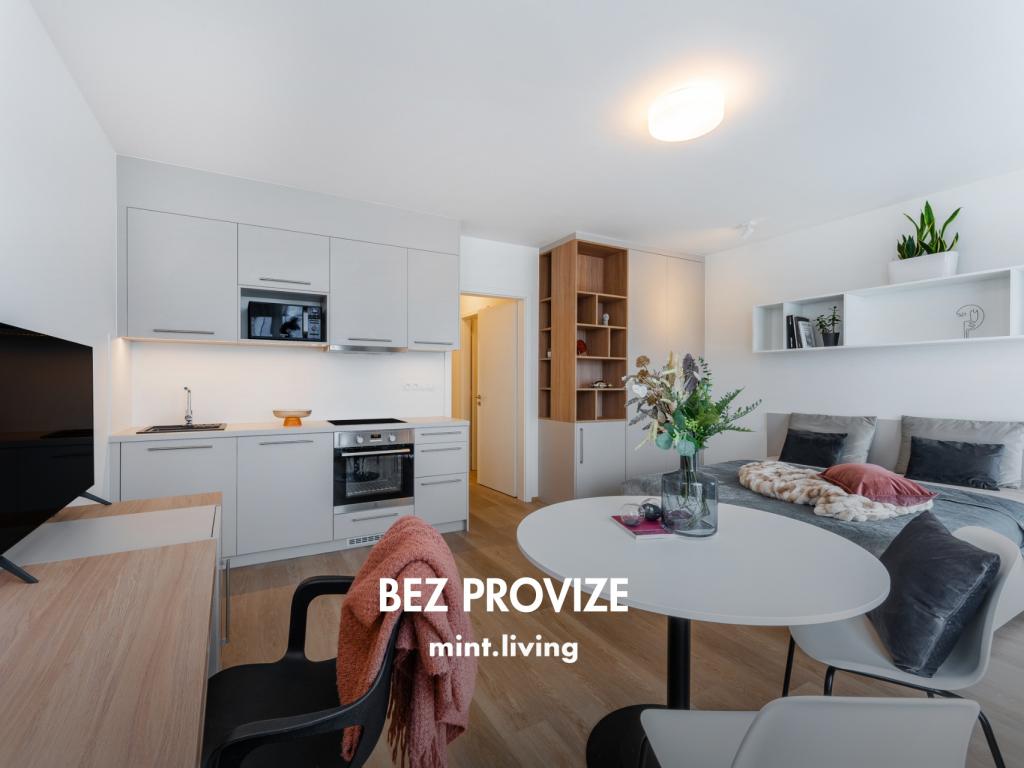 Pronájem bytu 1+kk 40 m2