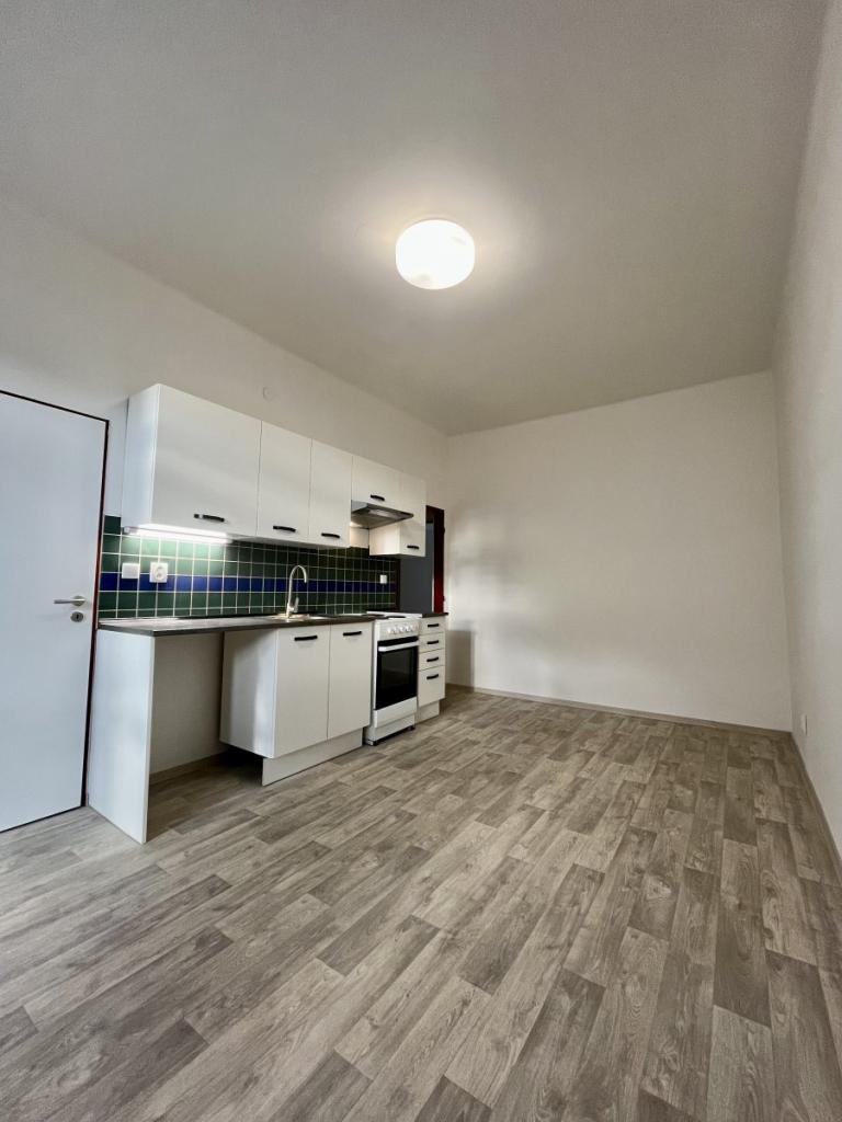 Pronájem bytu 1+1 50 m2