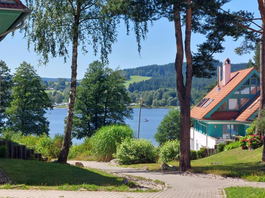 Pronajem bytu 1+kk 30 m2