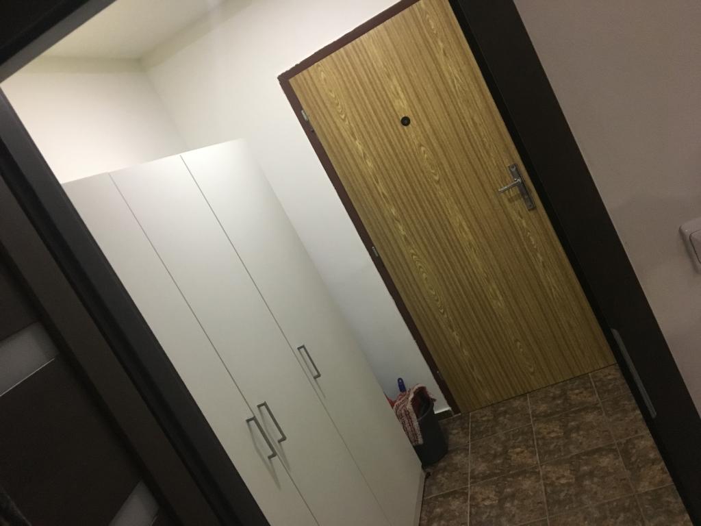 Pronajem bytu 1+kk 41 m2