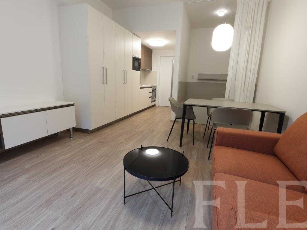 Pronájem bytu 1+kk 38 m2