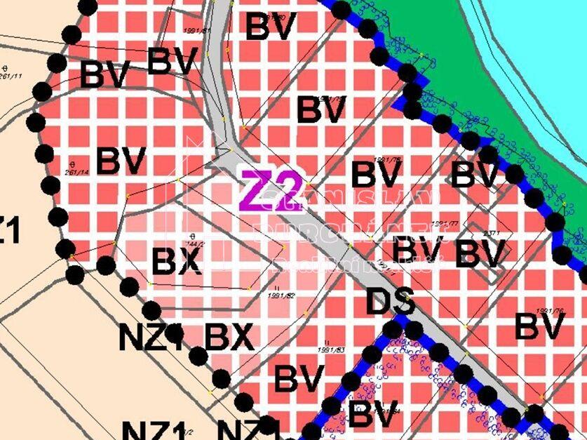 Prodej pozemku 4929 m2, Nová Ves – náhled fotky 3