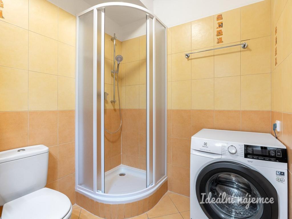 Pronájem bytu 1+kk 36 m2