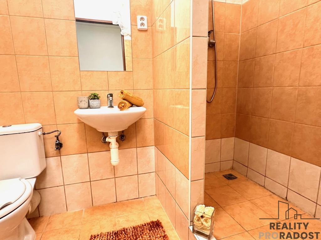 Pronájem bytu 1+kk 45 m² - Widok 6
