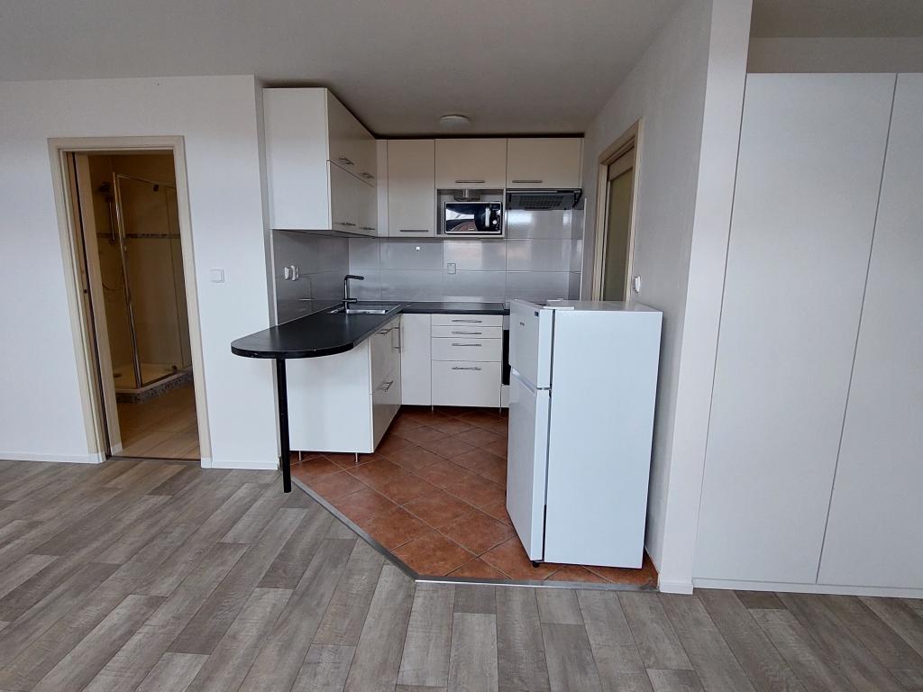 Pronájem bytu 1+kk 42 m2