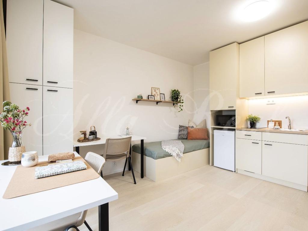 Pronájem bytu 1+kk 35 m2