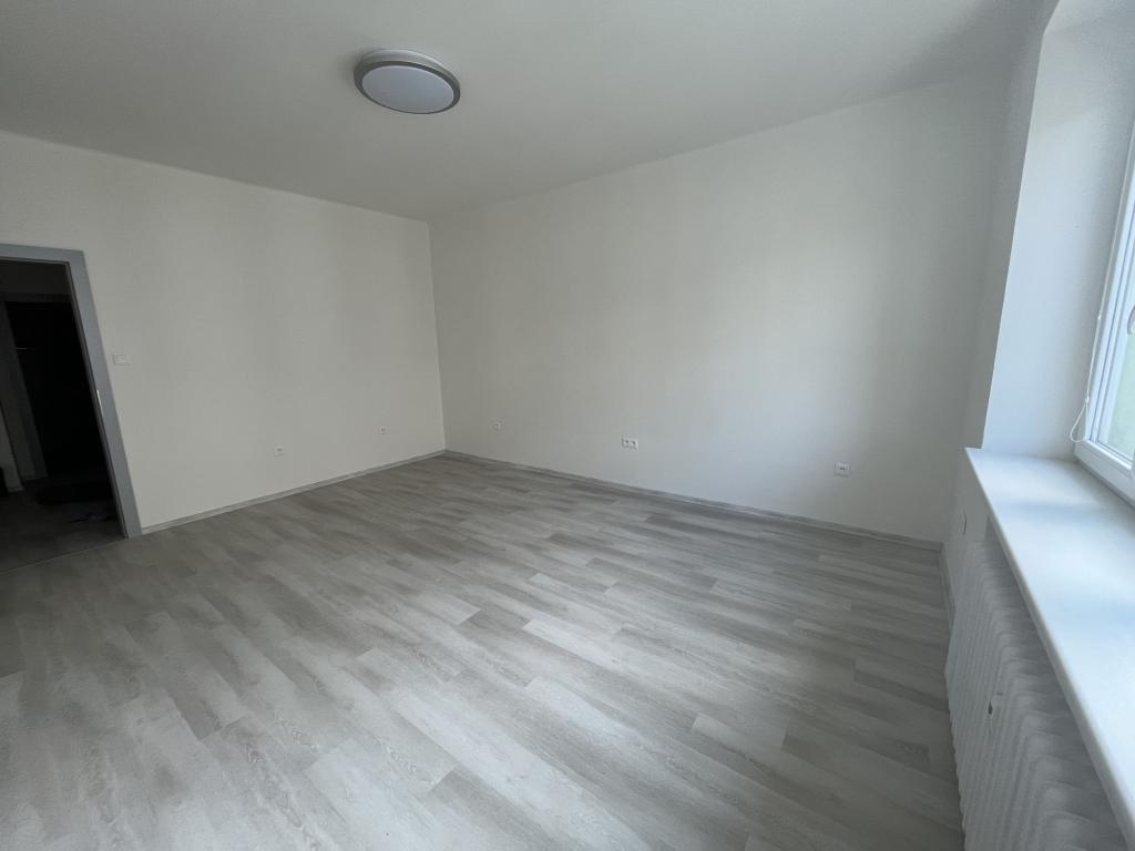 Pronajem bytu 2+1 54 m2