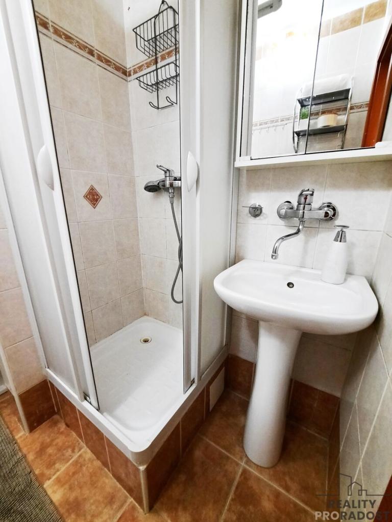 Pronájem bytu 1+1 40 m2