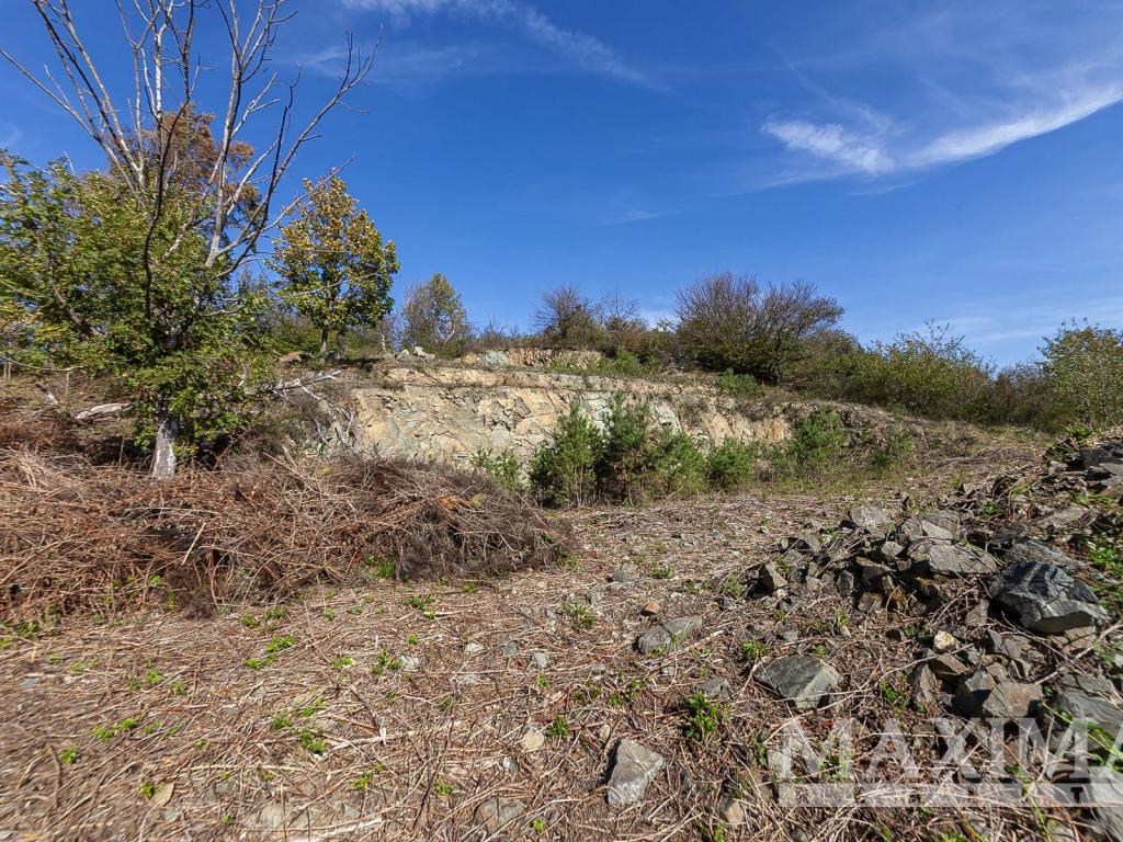 Prodej pozemku 7462 m2, Solenice – náhled fotky 26