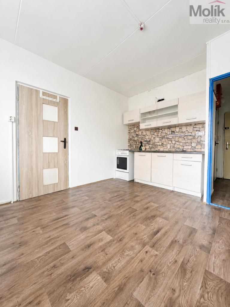 Pronájem bytu 1+1 38 m2