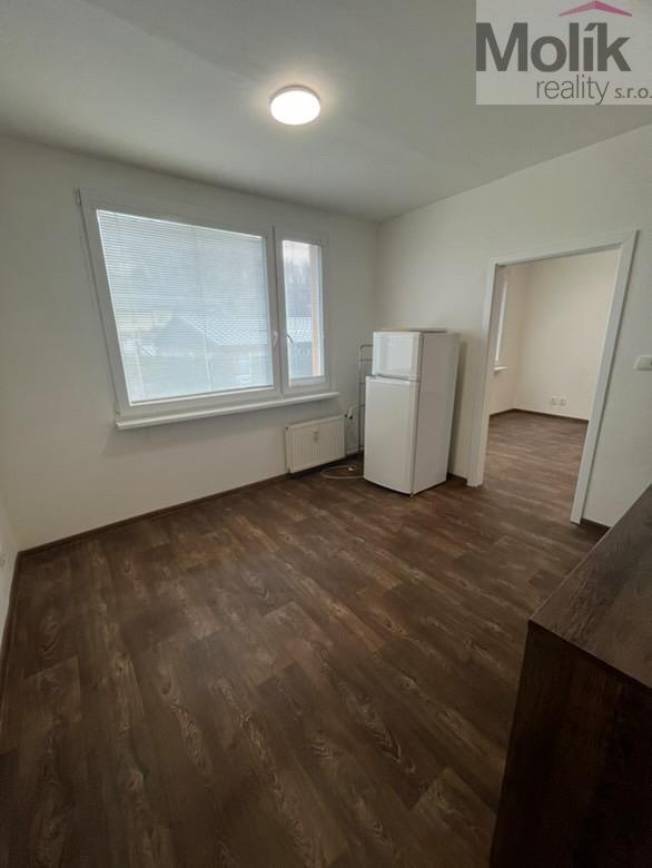 Pronájem bytu 1+1 39 m2
