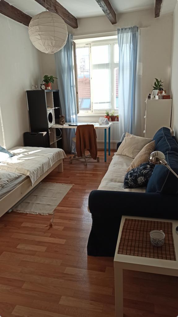 Spolubydleni bytu celý pokoj 15 m2
