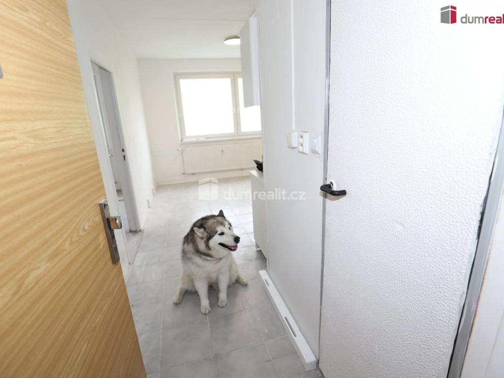 Pronájem bytu 1+1 36 m2