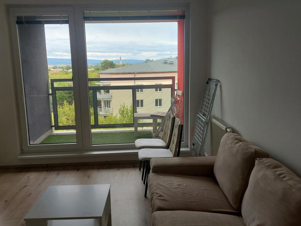 Pronájem bytu 1+kk 42 m2