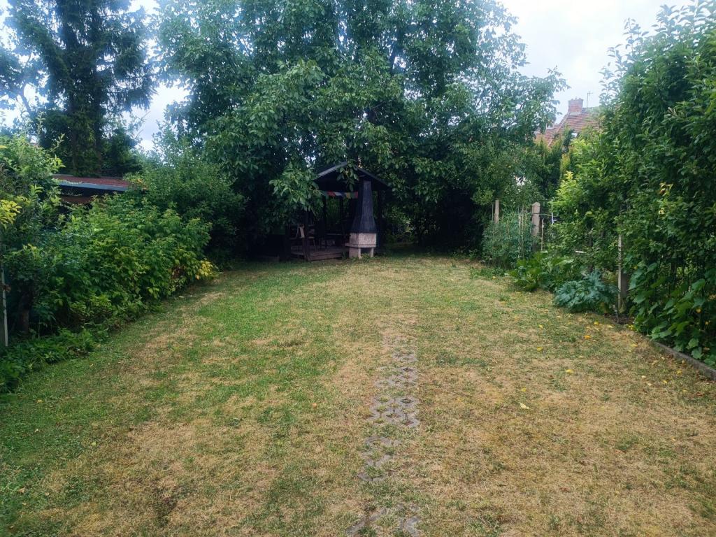 Pronájem bytu 1+1 40 m2