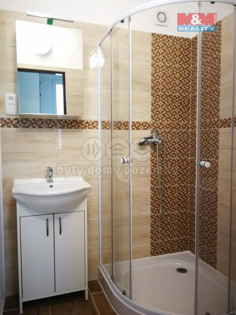 Pronajem bytu 2+1 62 m2