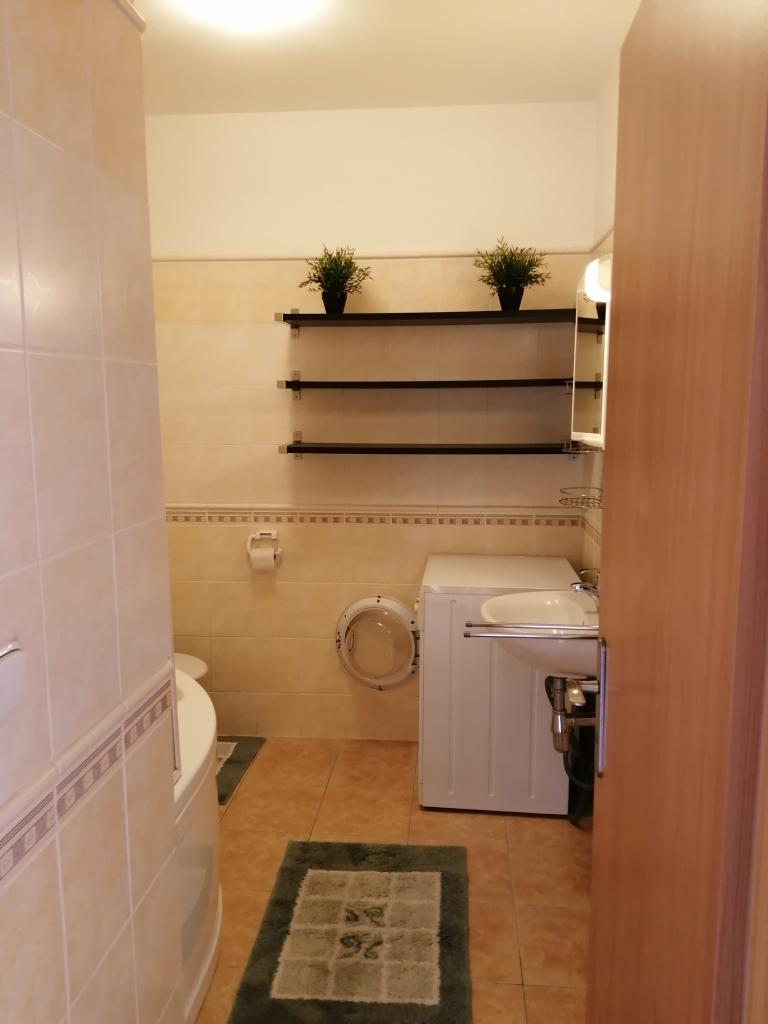 Pronajem bytu 2+kk 47 m2