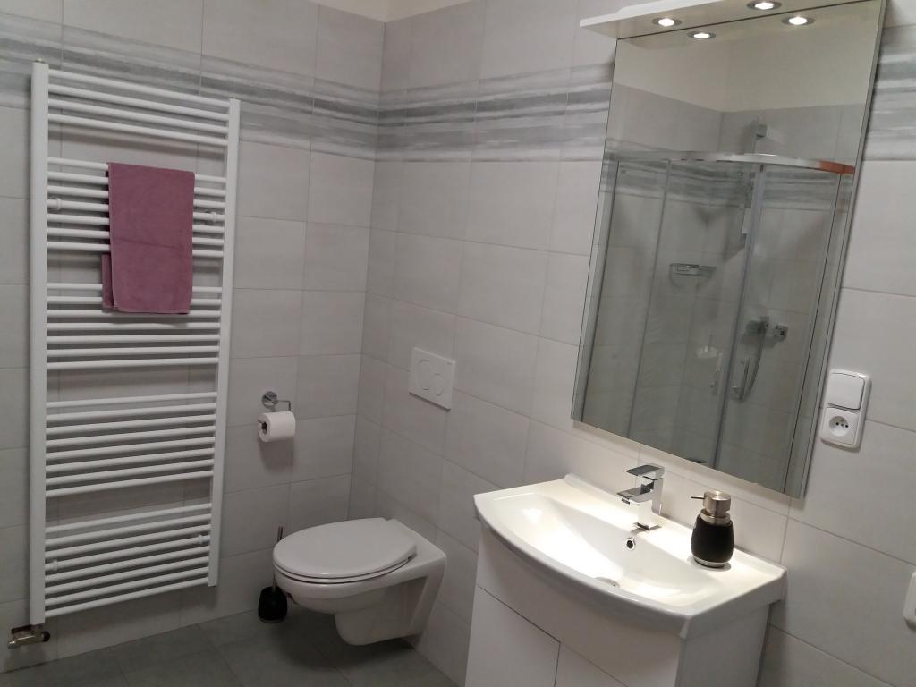 Pronajem bytu 2+kk 54 m2
