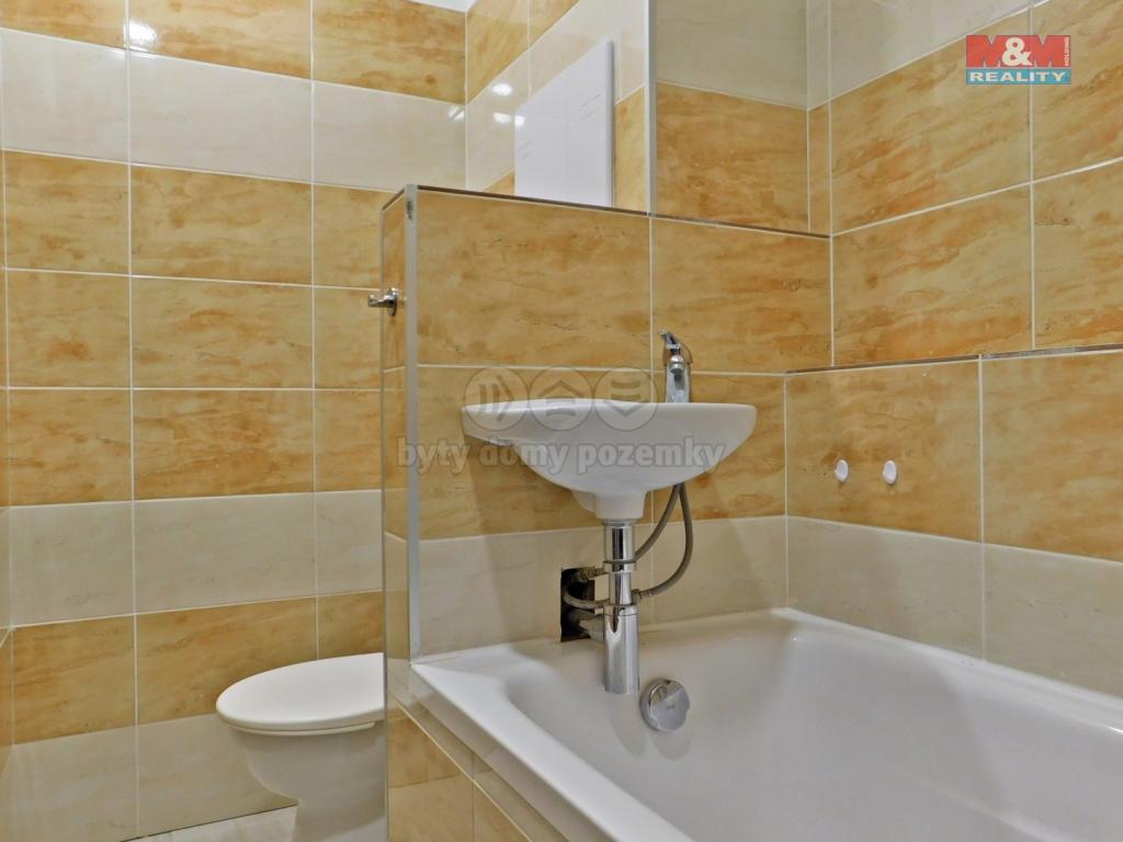 Pronajem bytu 2+1 52 m2