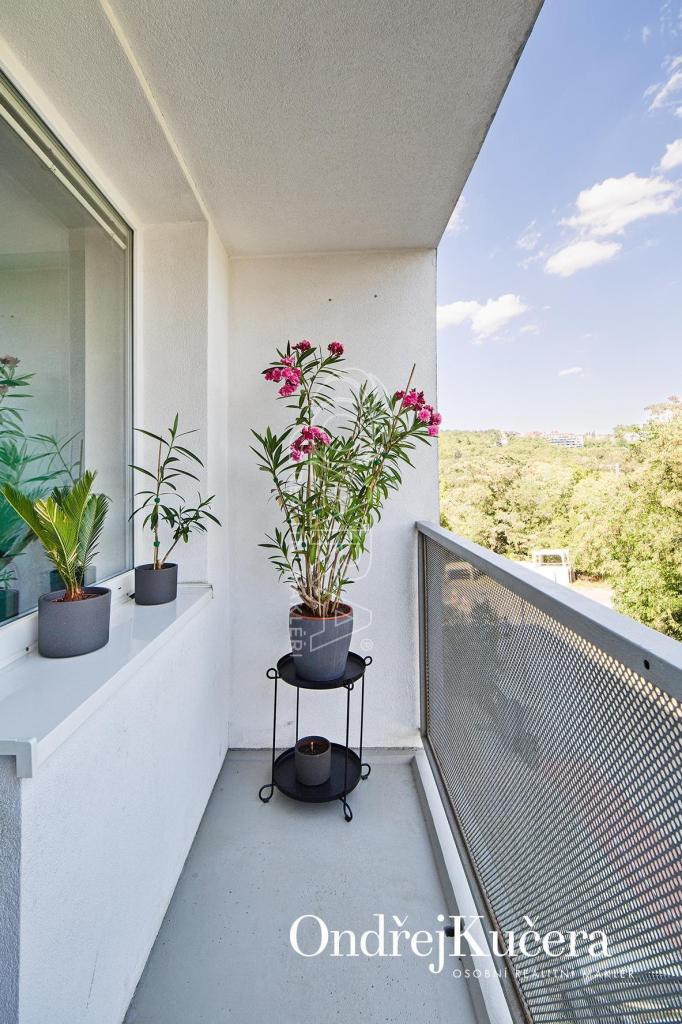 Prodej bytu 3+kk 75 m2, Praha – náhled fotky 12