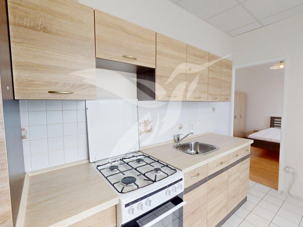 Pronájem bytu 2+1 53 m2