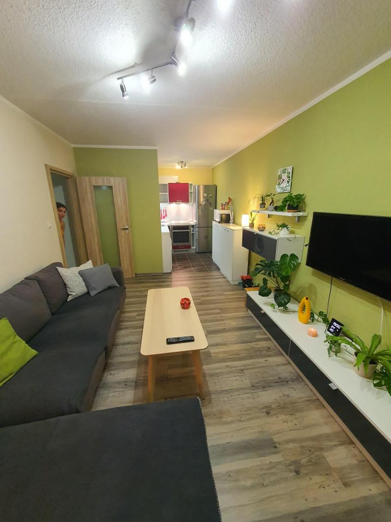 Pronajem bytu 2+kk 43 m2
