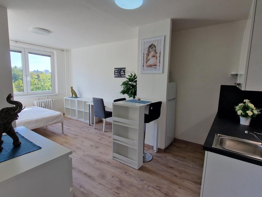 Pronájem bytu 1+kk 30 m2