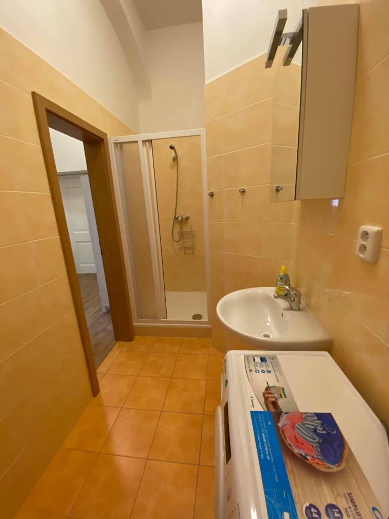 Pronajem bytu 1+kk 40 m2