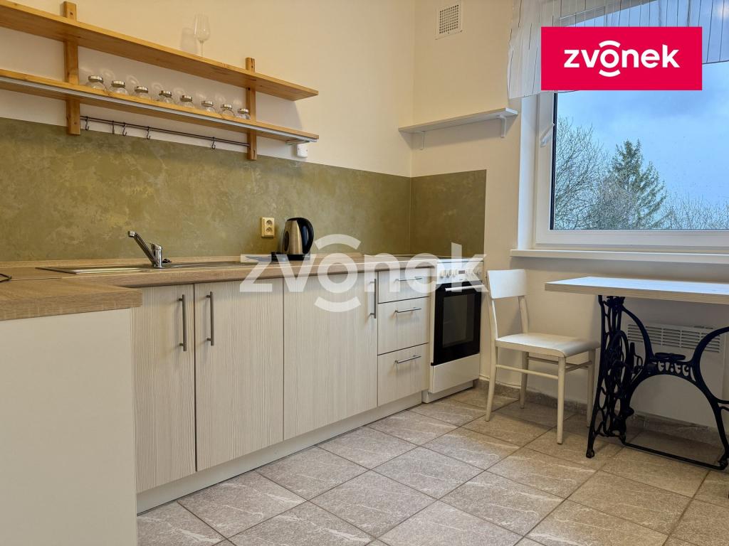 Pronájem bytu 1+1 40 m2