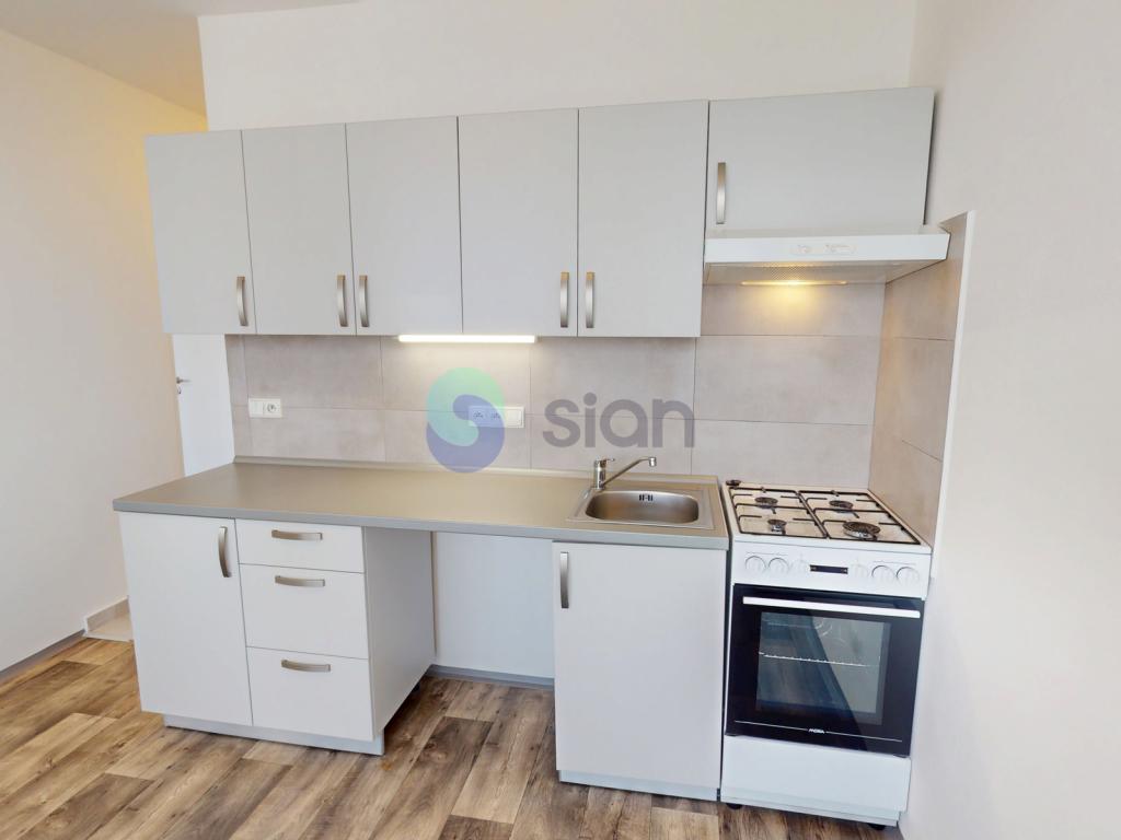 Pronájem bytu 1+1 38 m2