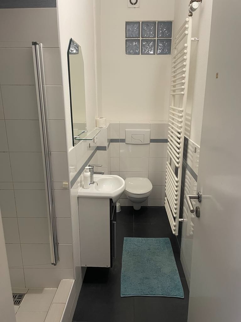 Pronájem bytu 2+1 55 m2