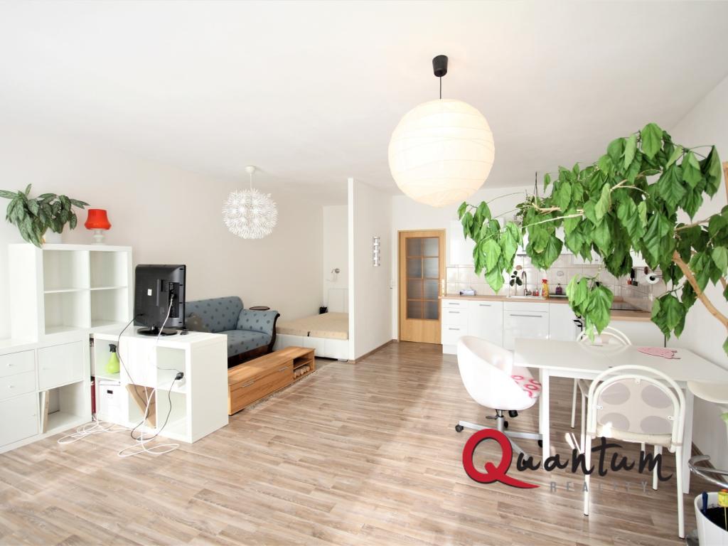 Pronájem bytu 1+kk 47 m2