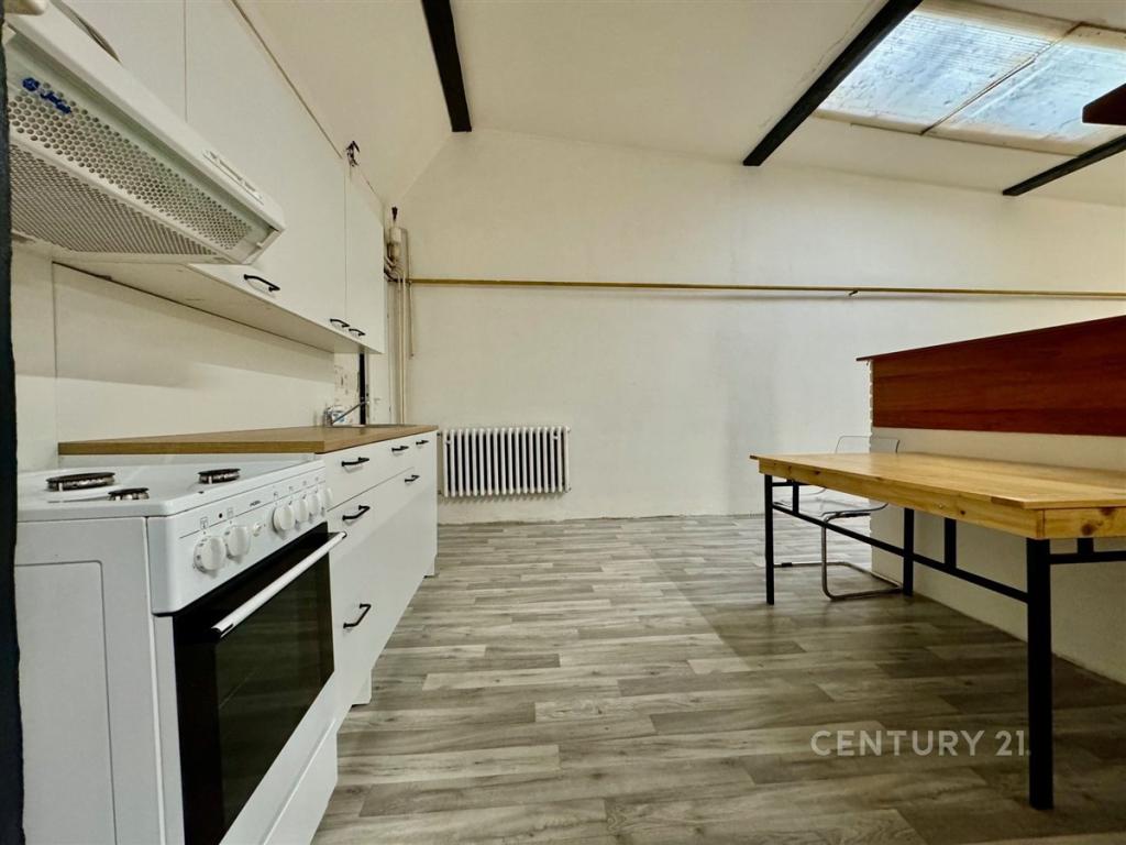 Pronájem bytu 5+kk 250 m2