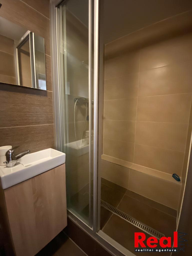 Pronájem bytu 1+kk 30 m2
