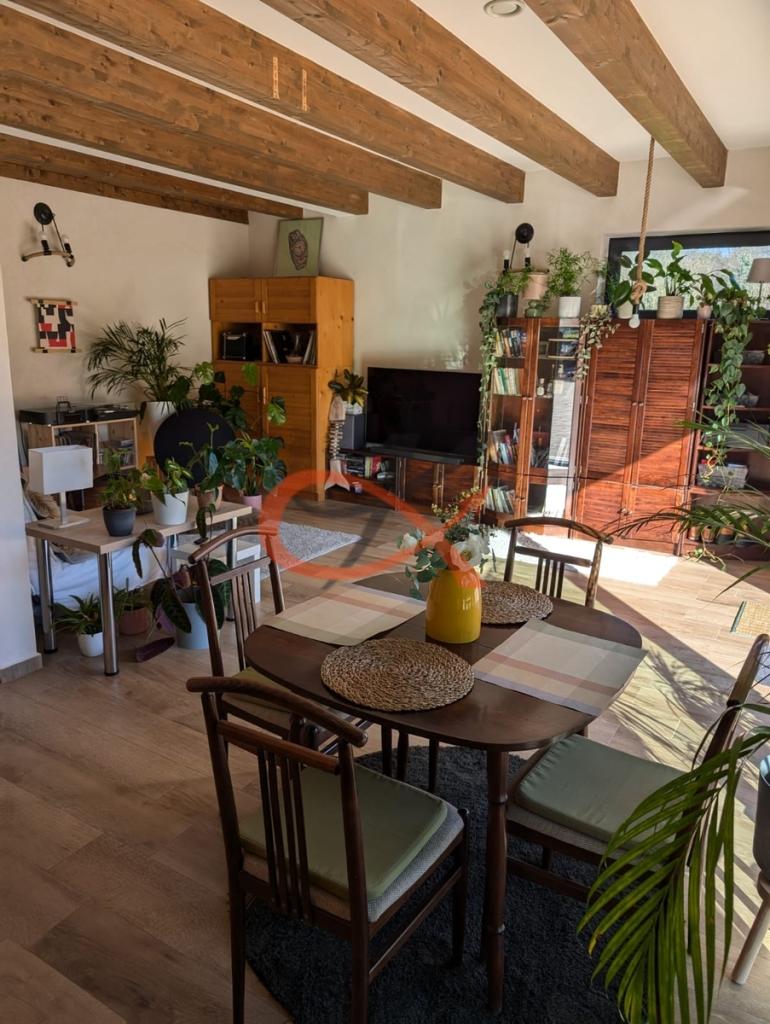 Pronájem bytu 1+kk 50 m2