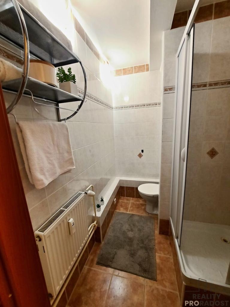 Pronájem bytu 1+1 40 m2