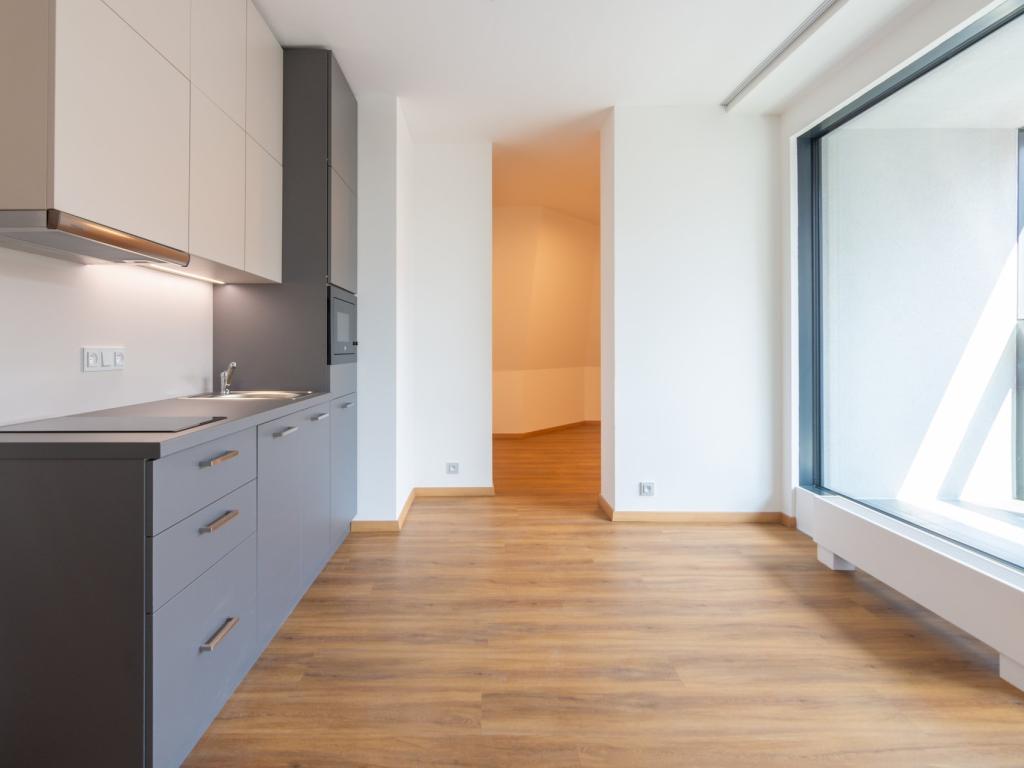 Pronájem bytu 1+kk 37 m2
