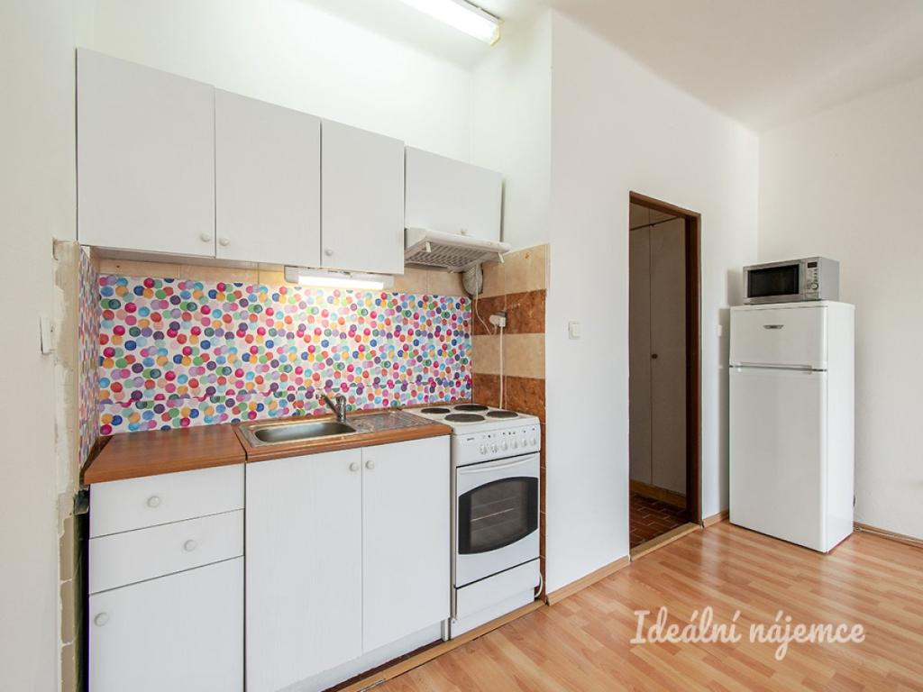 Pronájem bytu 1+kk 45 m2