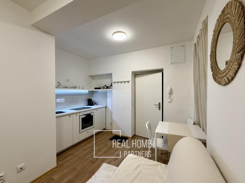 1-room apartment for rent · 17 m² · Brno — 474 €/mo