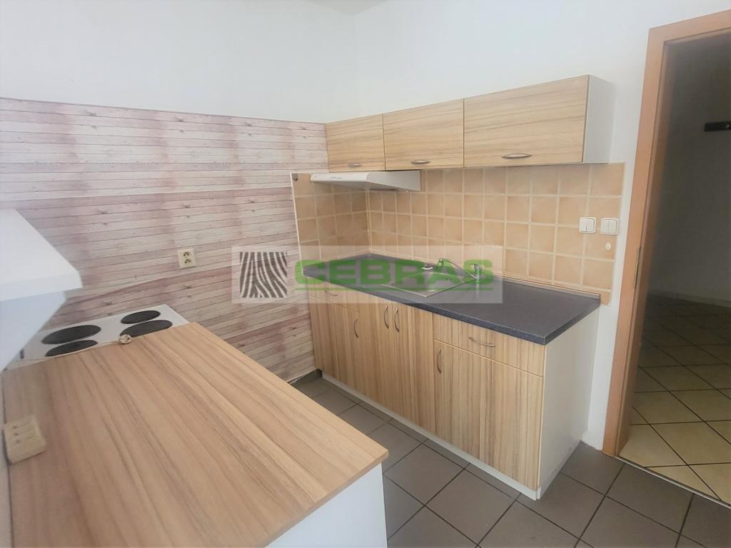 Pronájem bytu 1+kk 50 m2