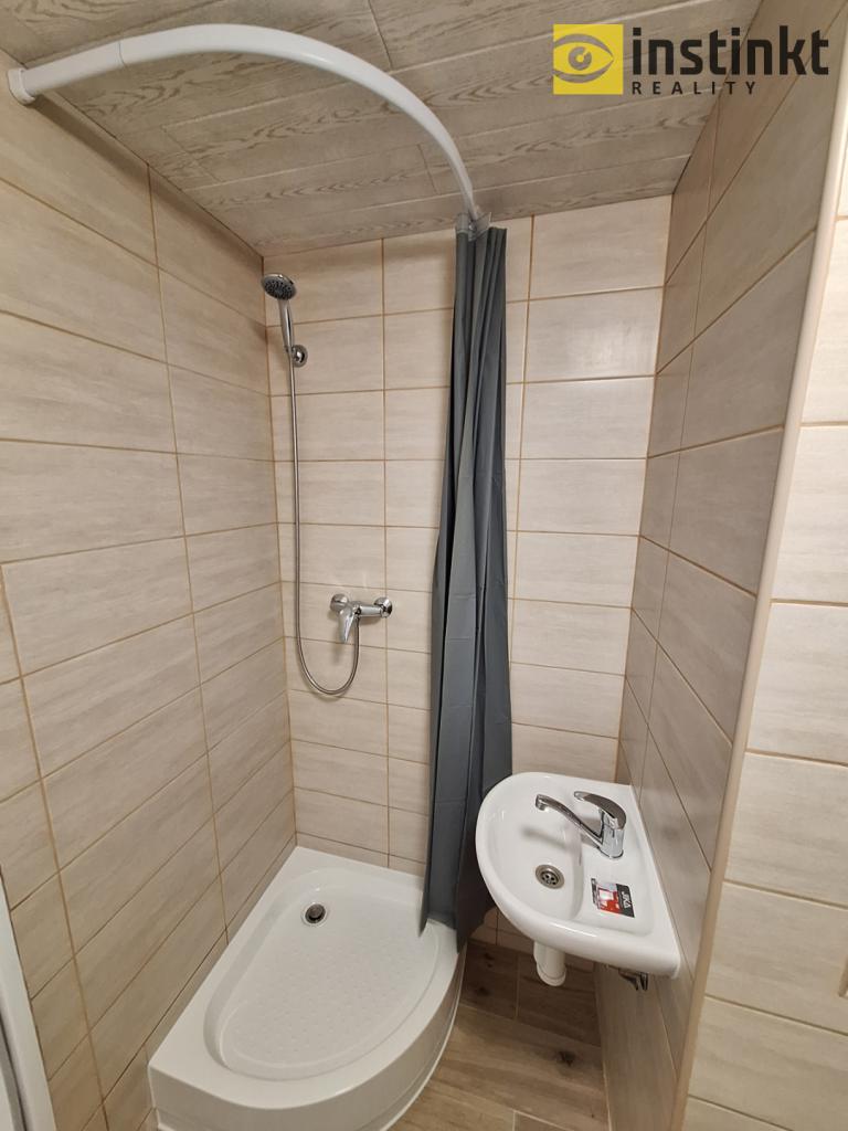 Pronájem bytu 1+1 42 m2